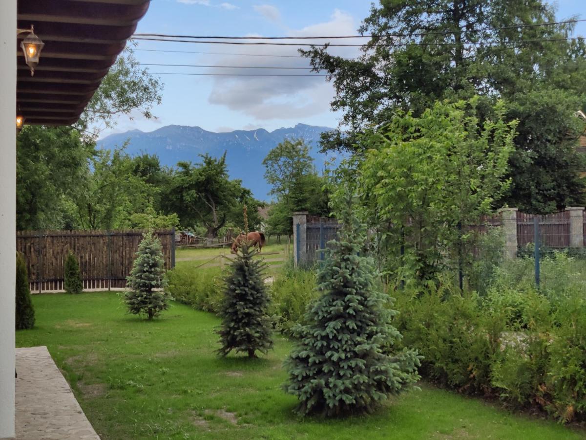 Ara Chalet Bran (Brasov) Exterior foto